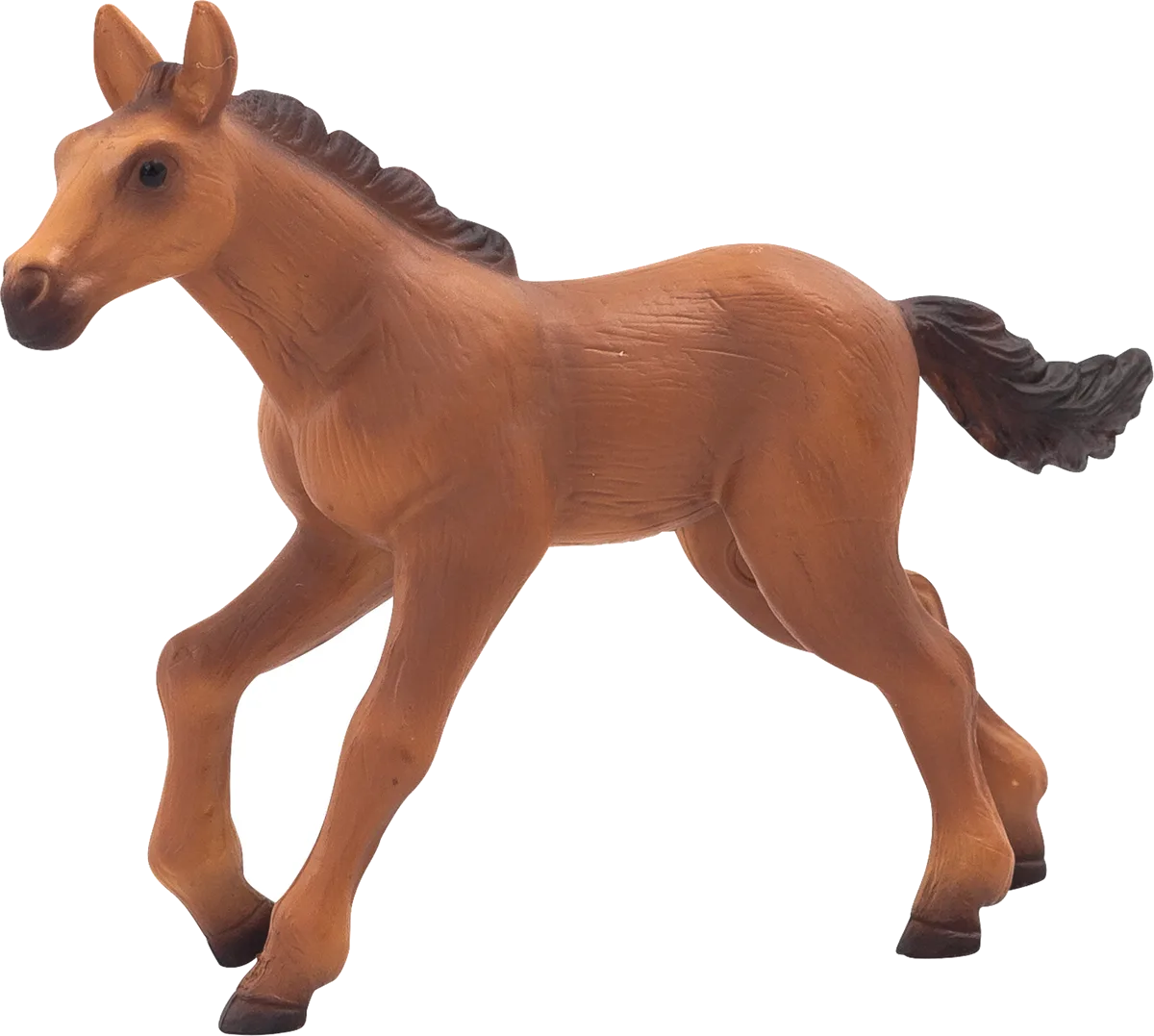 Mojo Hannoverian Foal, Running - image 1