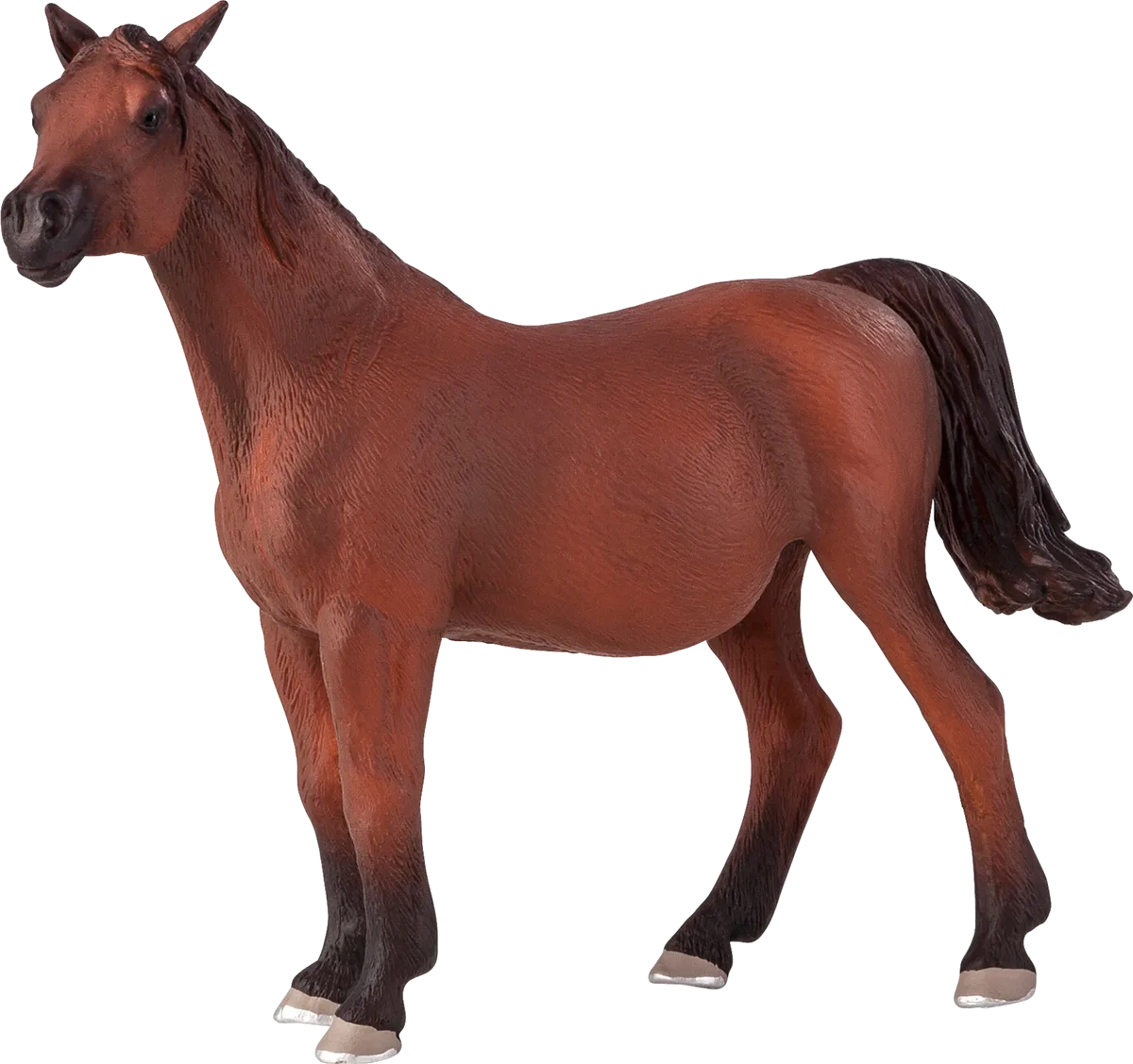 Mojo Arabian Pregnant Mare - image 1
