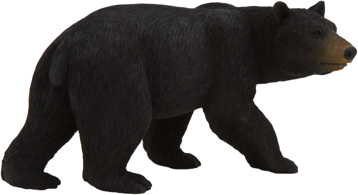 Mojo American Black Bear - image 1
