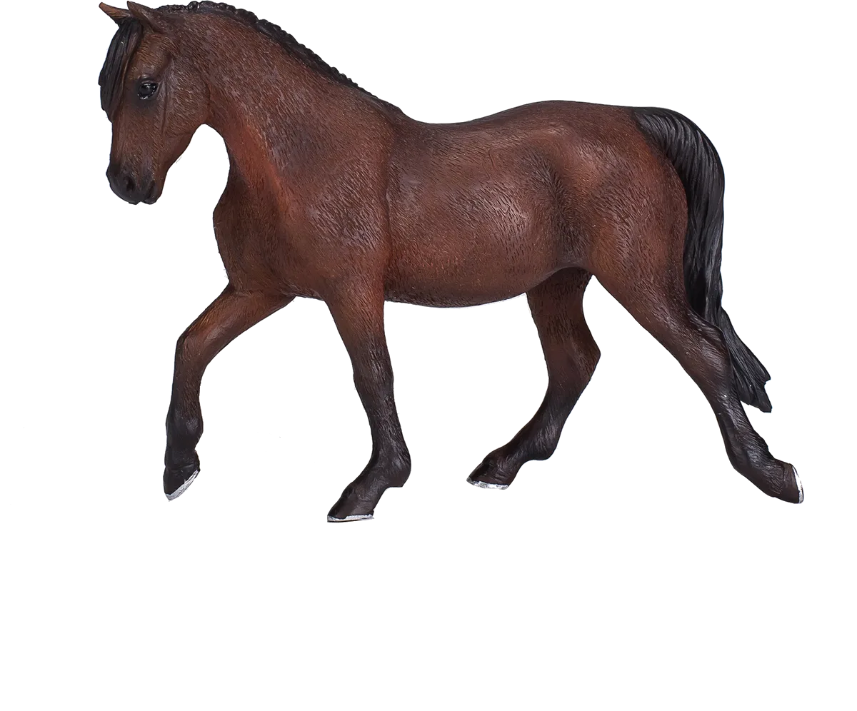 Mojo Morgan Stallion, Brown - image 1